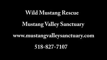 Wild Mustang Rescue_Nov.15-22