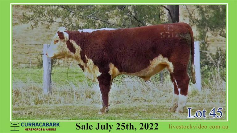 Lot 45 Curracabark 2022