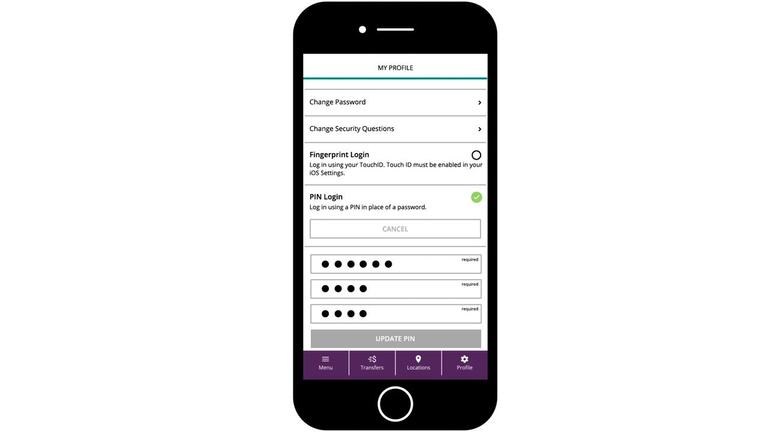 PIN Login