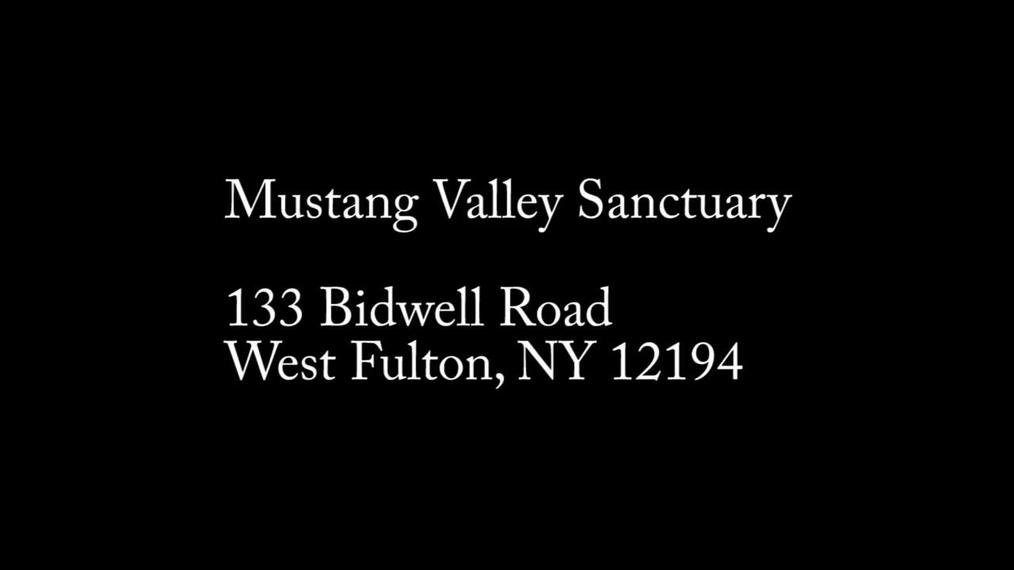 Mustang Valley Sanctuary 2022