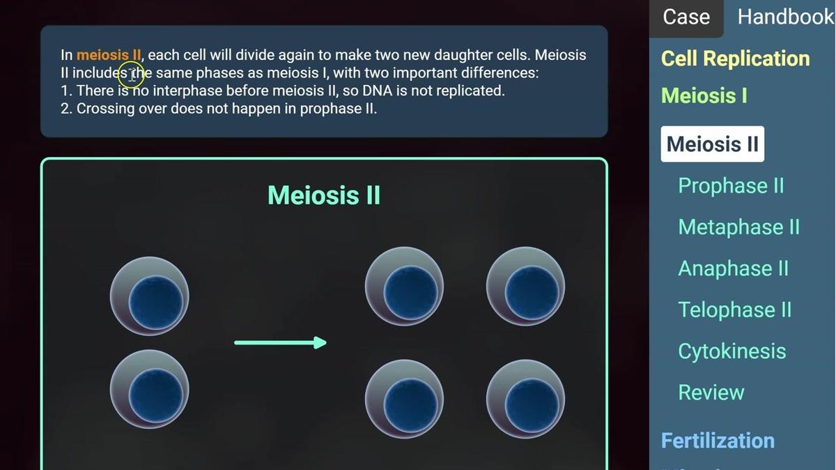 Meiosis II.mp4