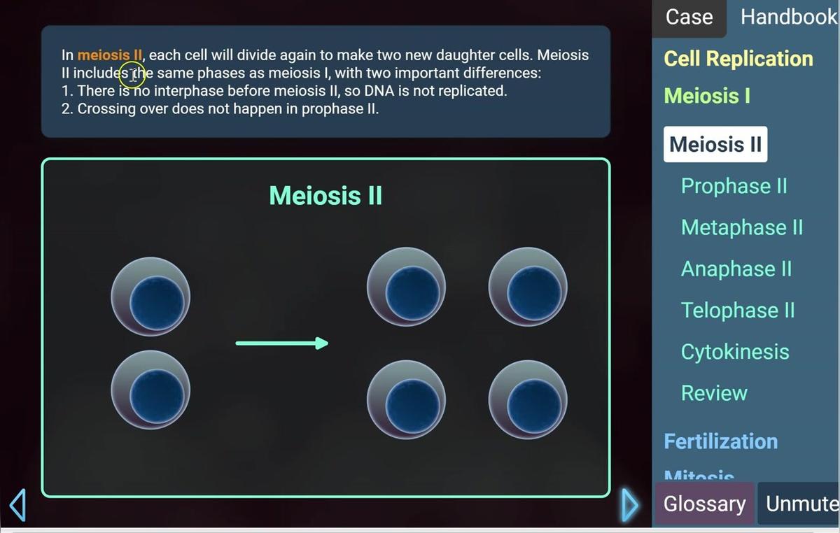 Meiosis II.mp4