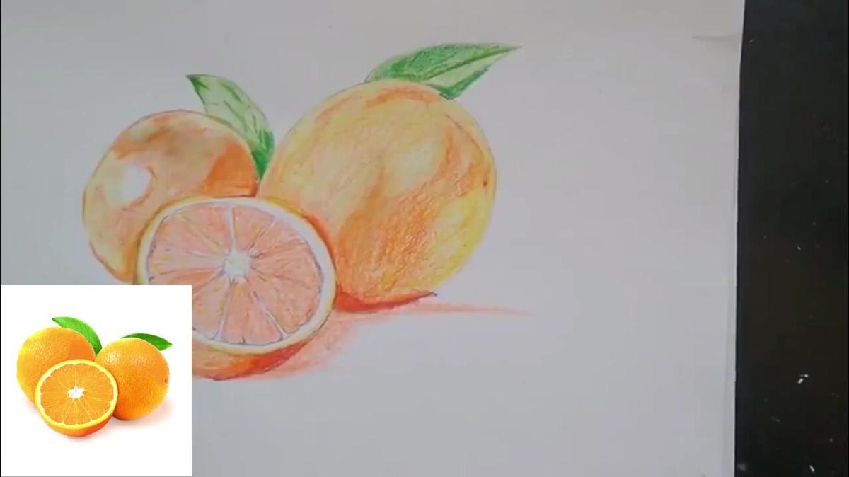 Drawing oranges with colored pencils