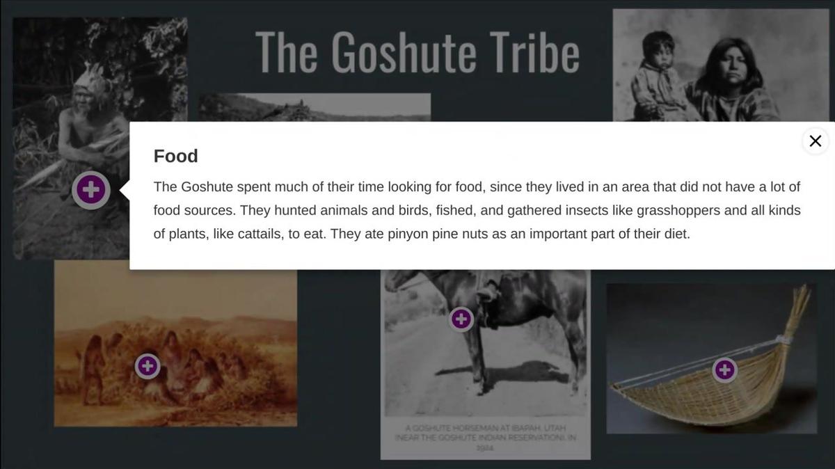 The Goshute Tribe