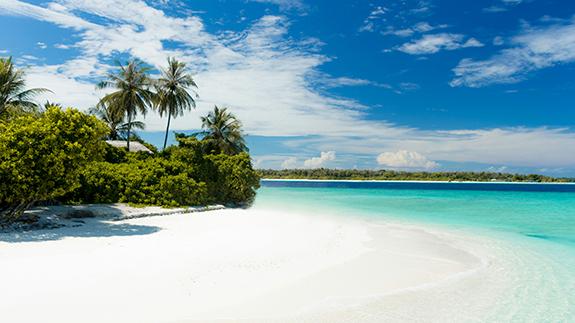 Zinzino Incentive Trips