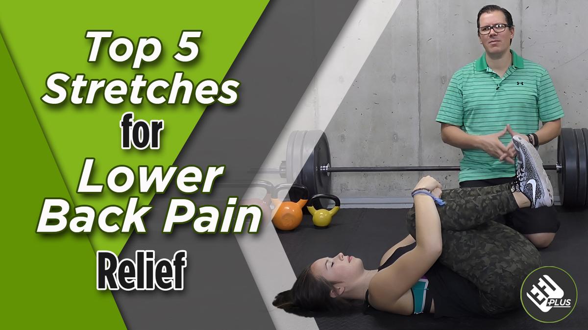 Top 5 Stretches for Lower Back Pain Relief