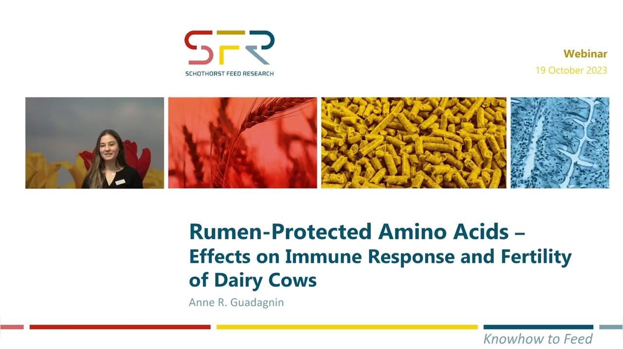 Effects of Rumen-Protected Amino Acids on Immunity and Fertility