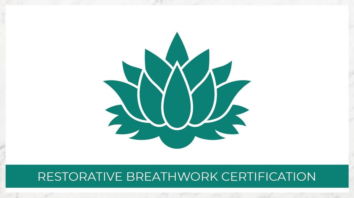 CERTIFICATION SERIES - Fundamentals of Facilitating Individual Sessions 04-05-24