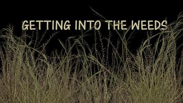 Getting Into the Weeds 2