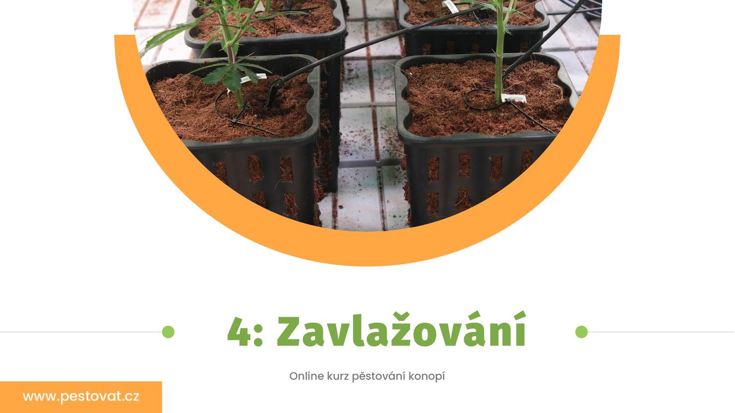 4. lekce: Zavlažování