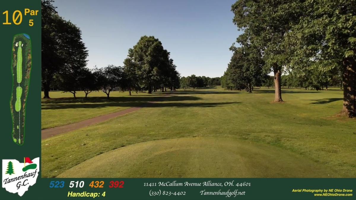 Tannenhauf Hole #10