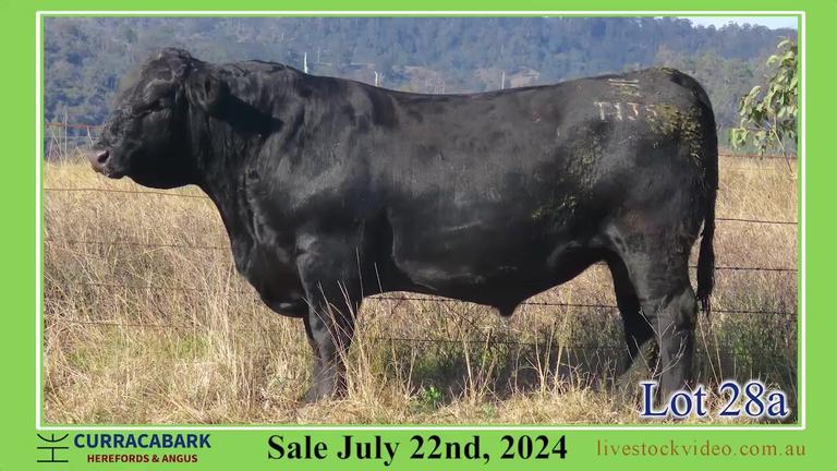 Lot 28a