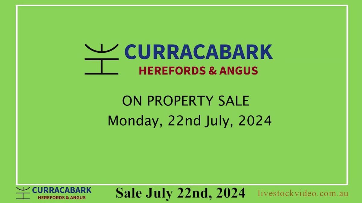 Curracabark 2024