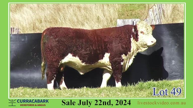 Lot 49