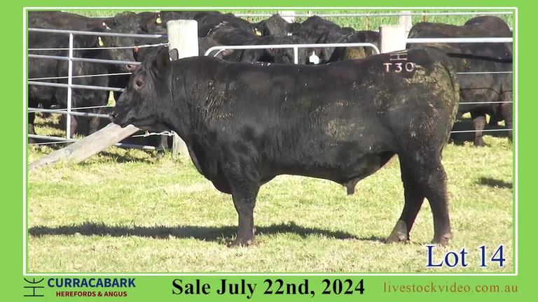 Lot 14