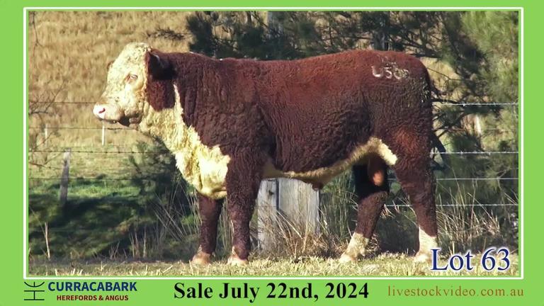 Lot 63