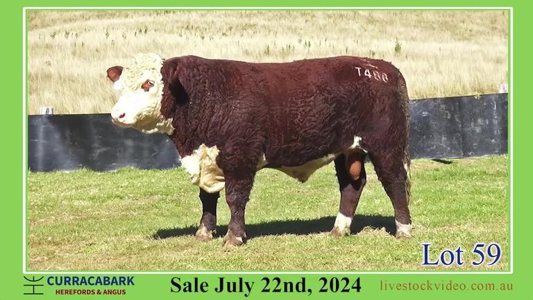 Lot 59