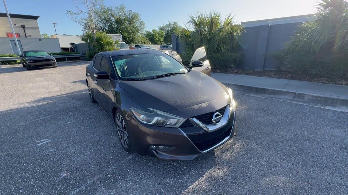 Veronica&#39;s Maxima - Nick B 315-749-3934