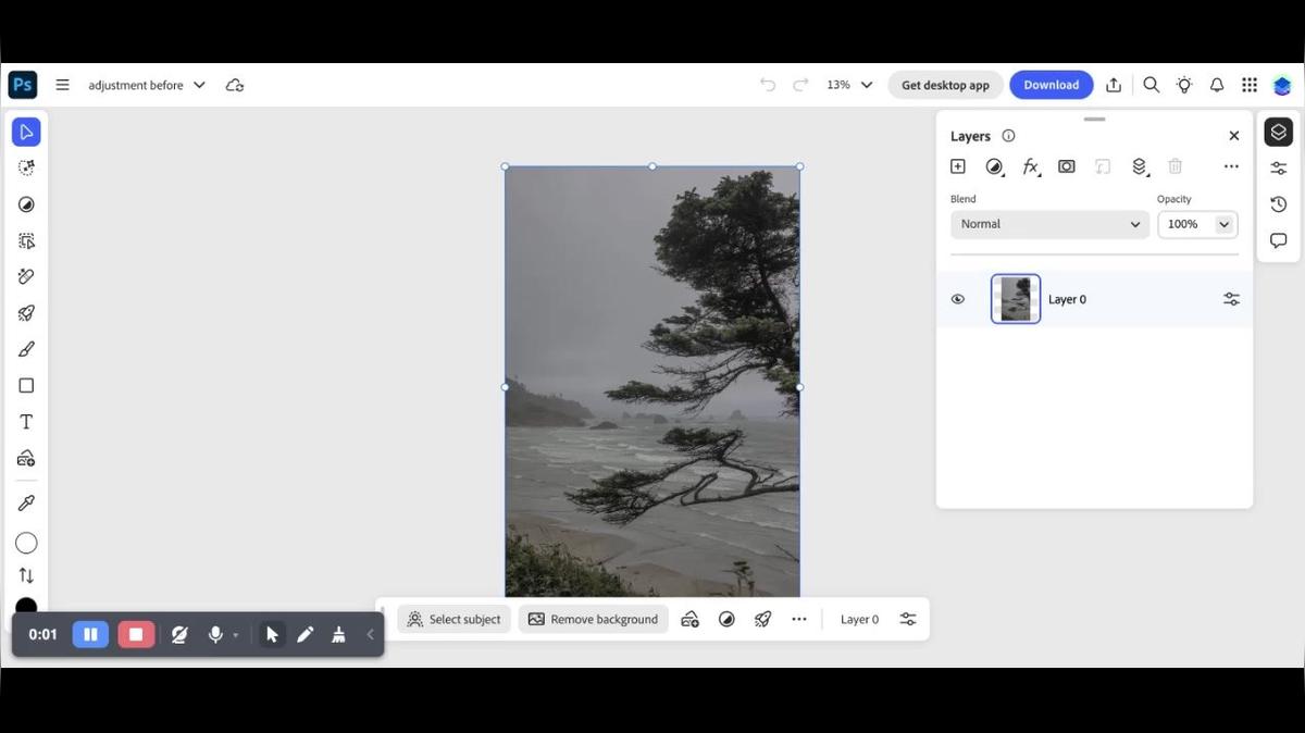 Photoshop on the Web Tutorial: Adjustment Layers