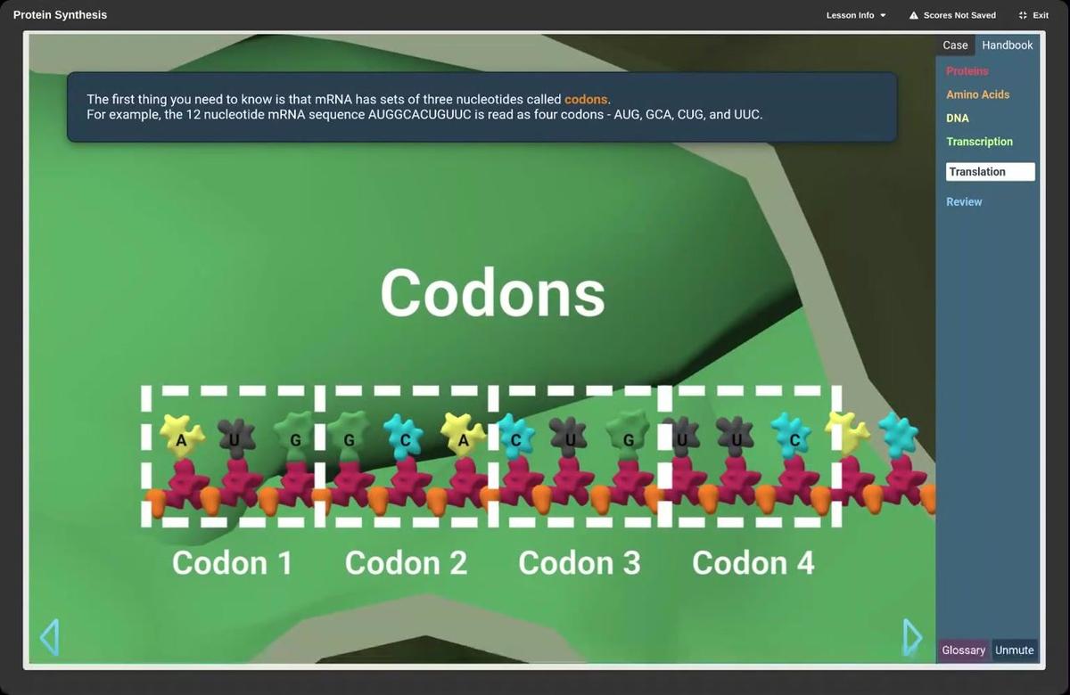 Anticodons