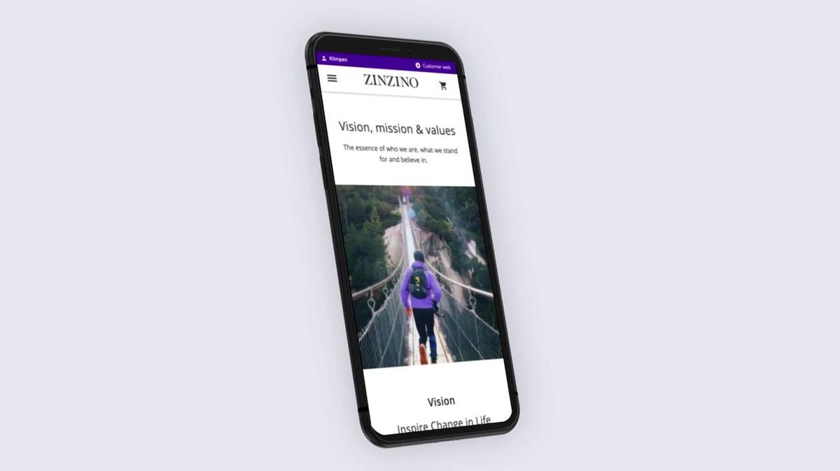 Mission, Vision and Value webpage