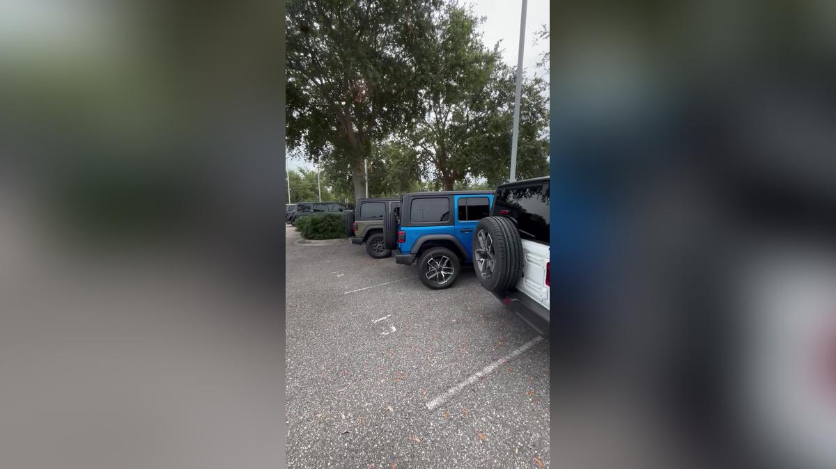 Rudy wrangler lot video