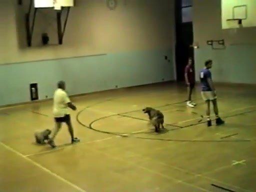 1992 Summer GBA Week 3.mp4