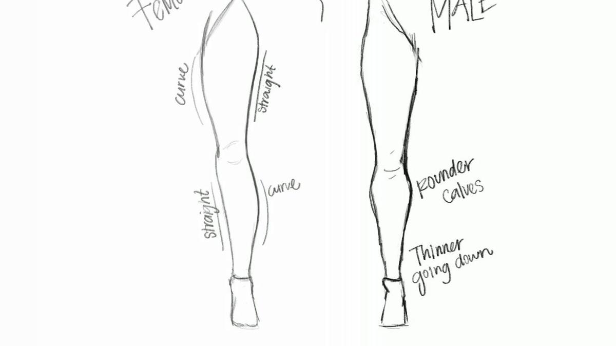 Figure drawing - legs