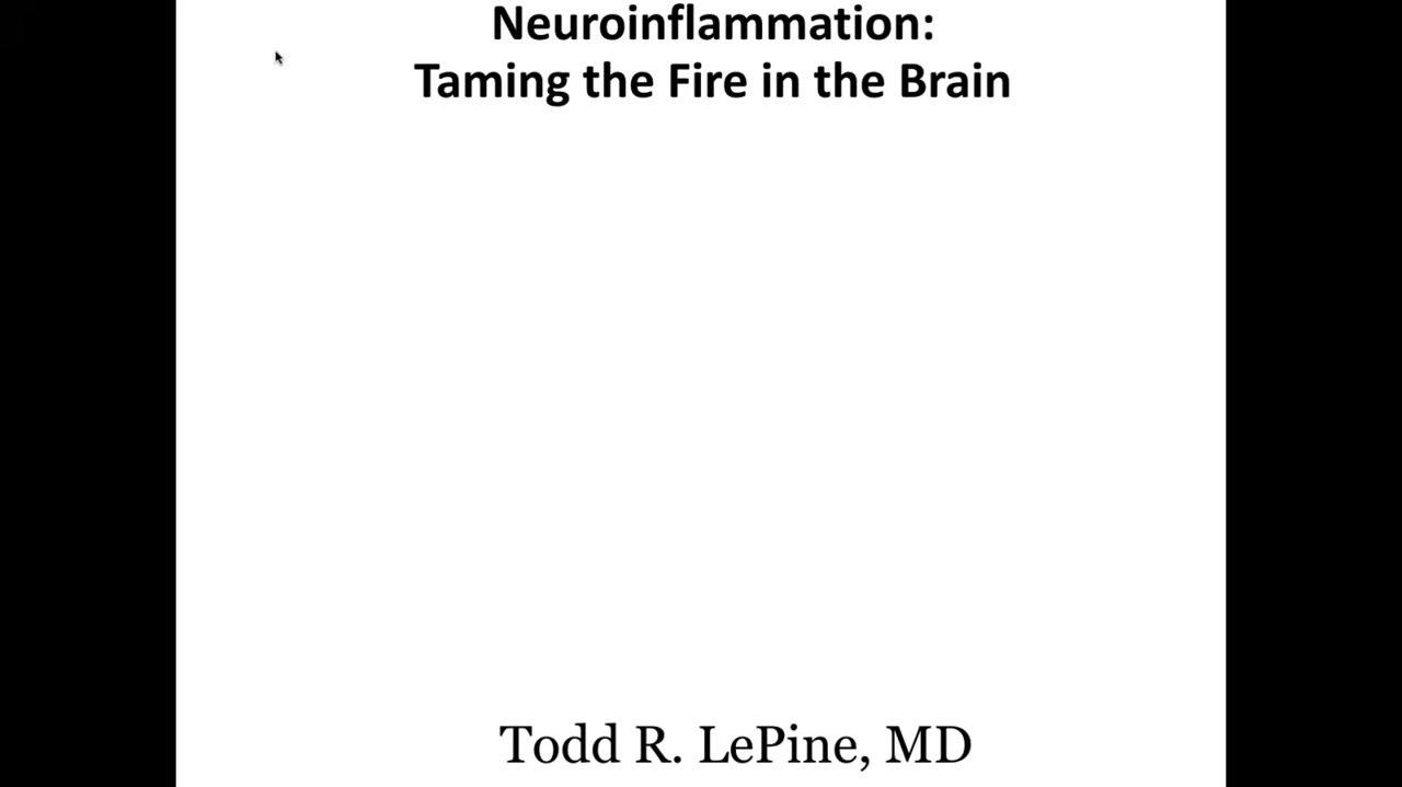 Neuroinflammation: Taming the Fire in the Brain (2021)