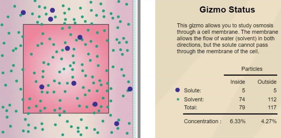 Osmosis Gizmo Simulation