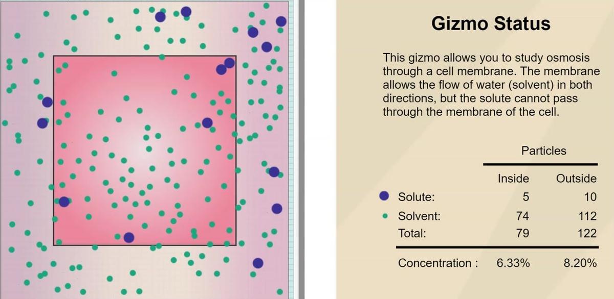 Osmosis Gizmo Simulation (B)