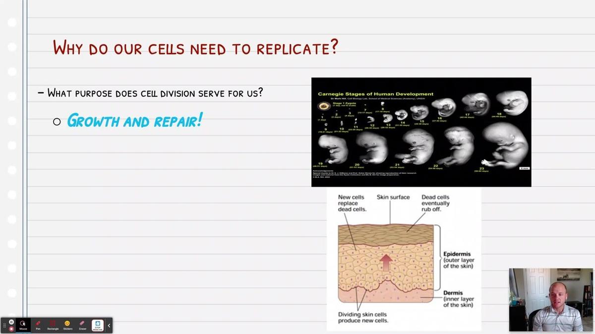 Topic 7: Regulation of the Cell Cycle