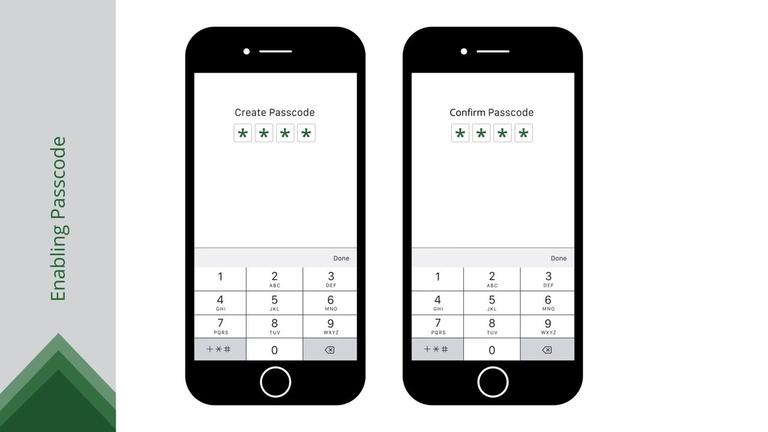 Passcode Login