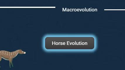 macroevolution.mp4
