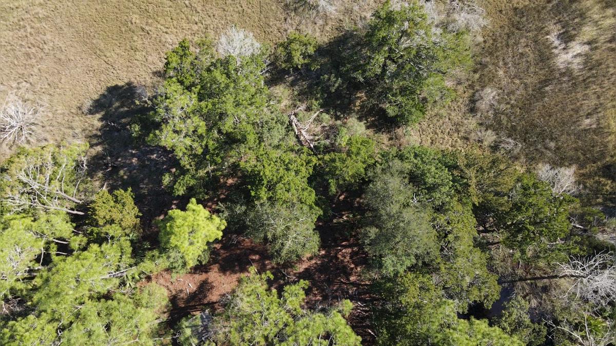 Lot 95 Rise Up South Exposure.MOV