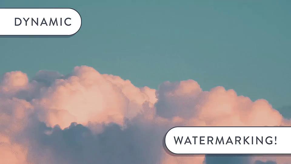 Dynamic Watermarking - Draft