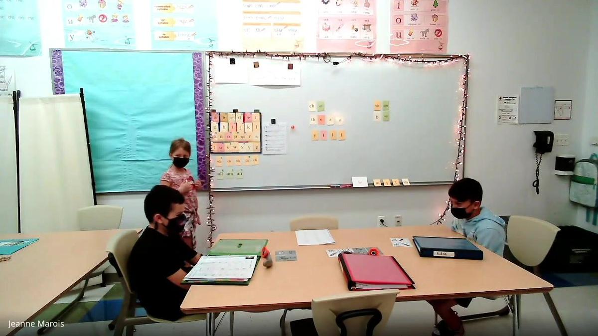 Marois Group Practicum Videos