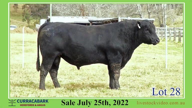 Lot 28 Curracabark 2022