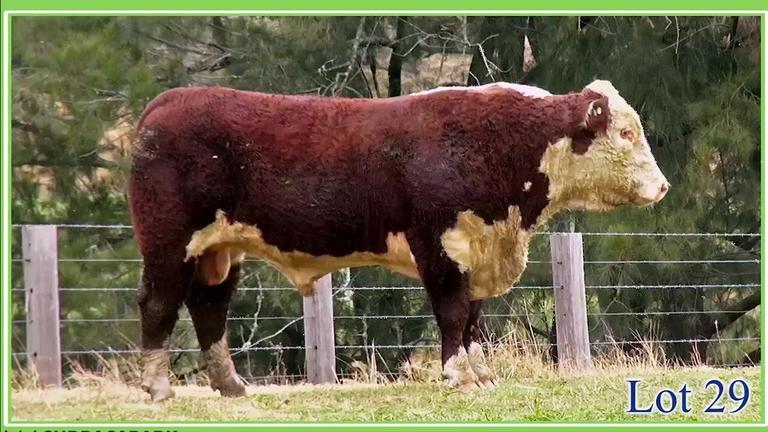 Lot 29 Curracabark 2022