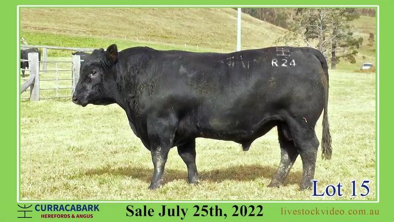 Lot 15 Curracabark 2022