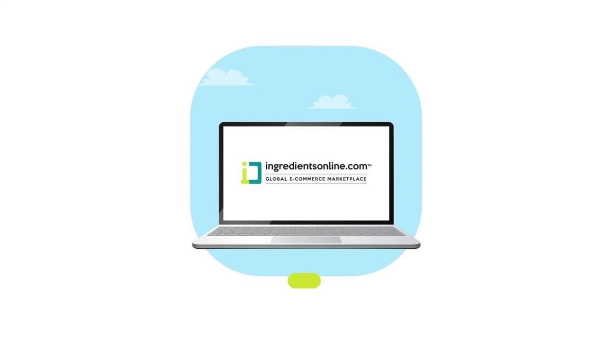 Website Animation