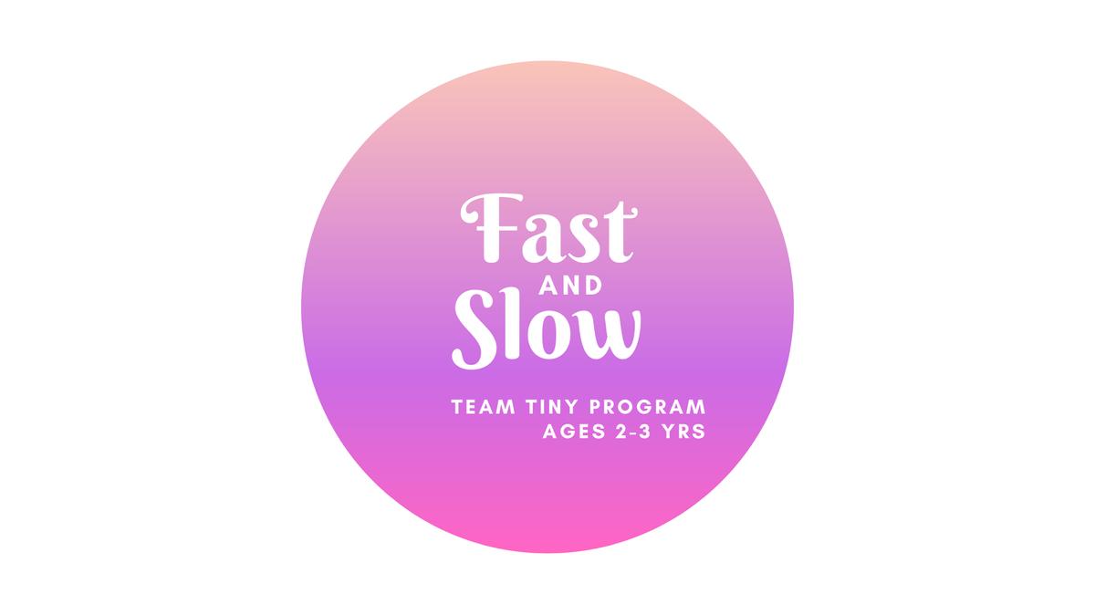 Team Tiny - Fast &amp; Slow