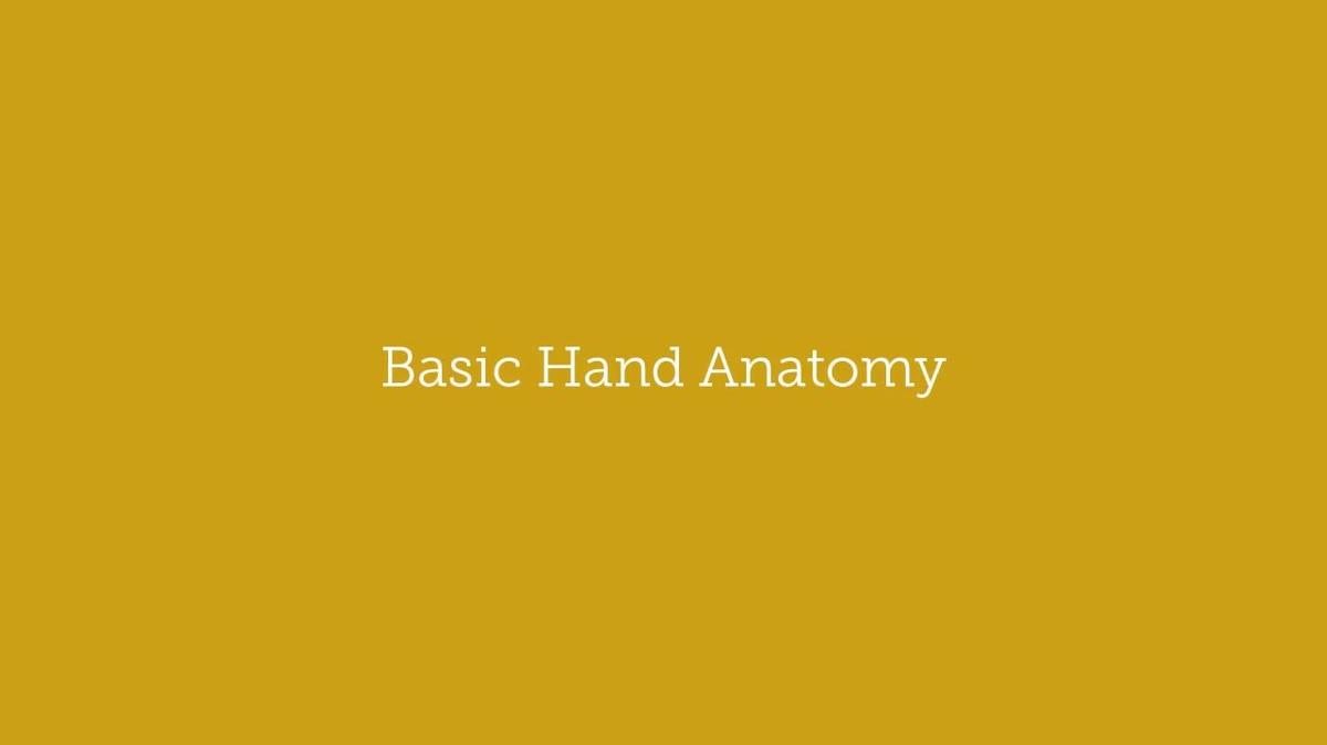 How_To_Draw_a_Hand