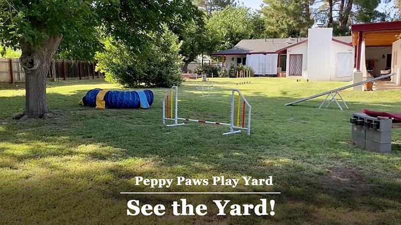 Peppy Paws Play Yard Tour