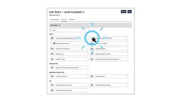 Feature Rights for User Roles