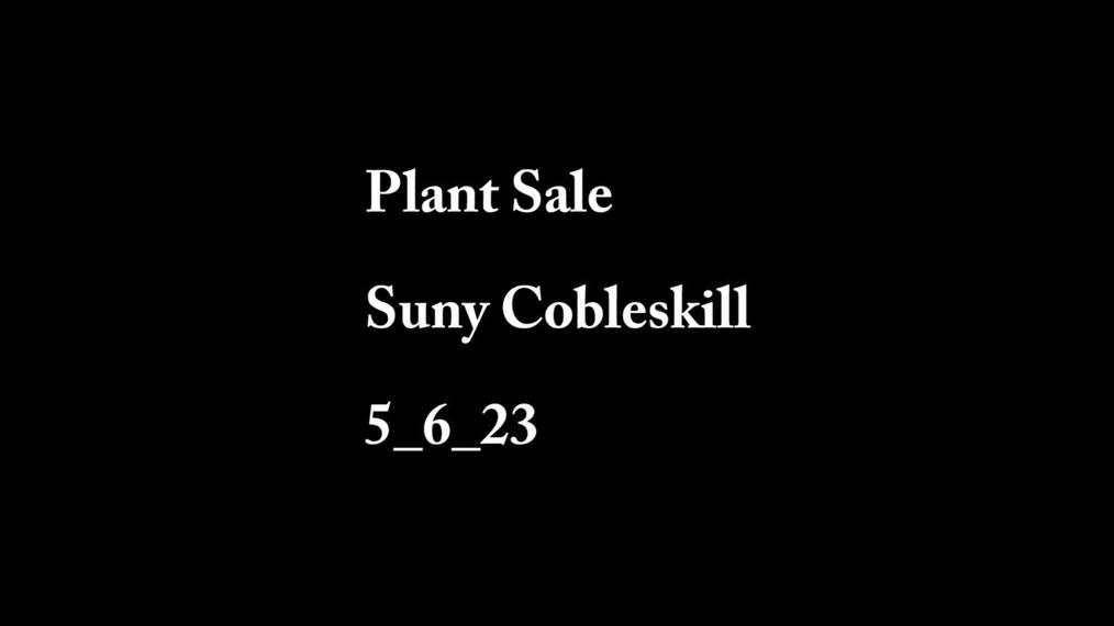 Plant Sale Suny 5_6_23