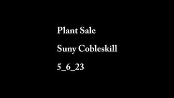 Plant Sale Suny 5_6_23