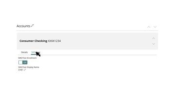 Text Banking
