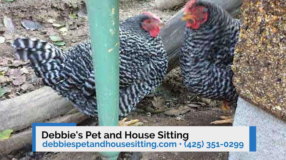 Pet Sitting in Bellevue WA, Debbie's Pet and House Sitting