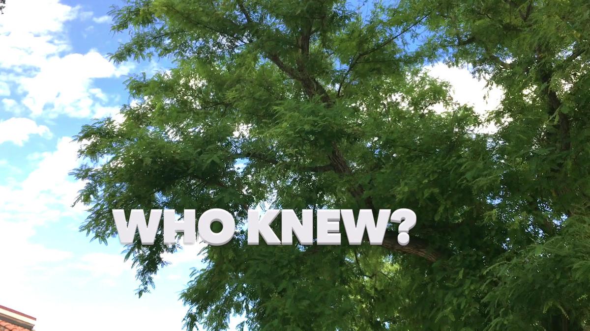 Who Knew? by Kristin Clarke